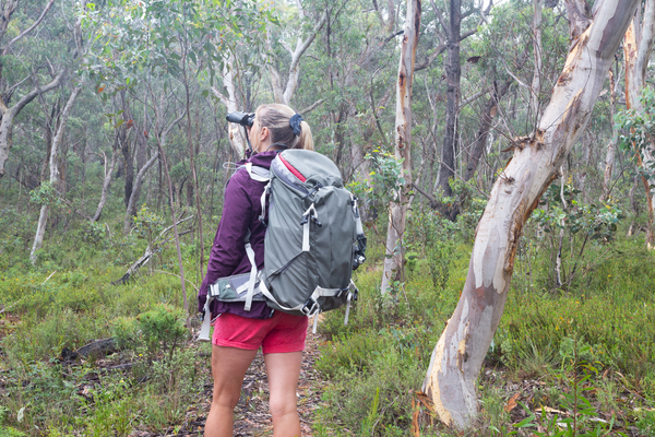 What type of clothing is best for bushwalking? - Beyond the Classroom