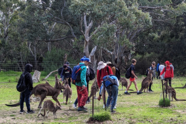  outdoor education