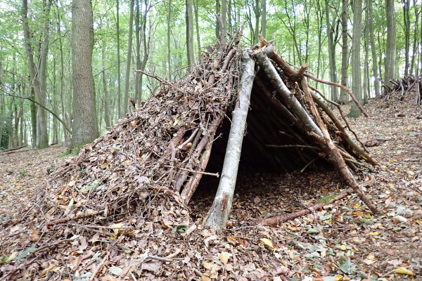 bushcraft ideas