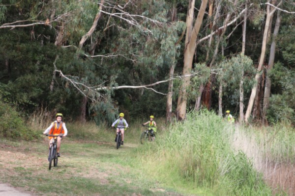 mountain biking